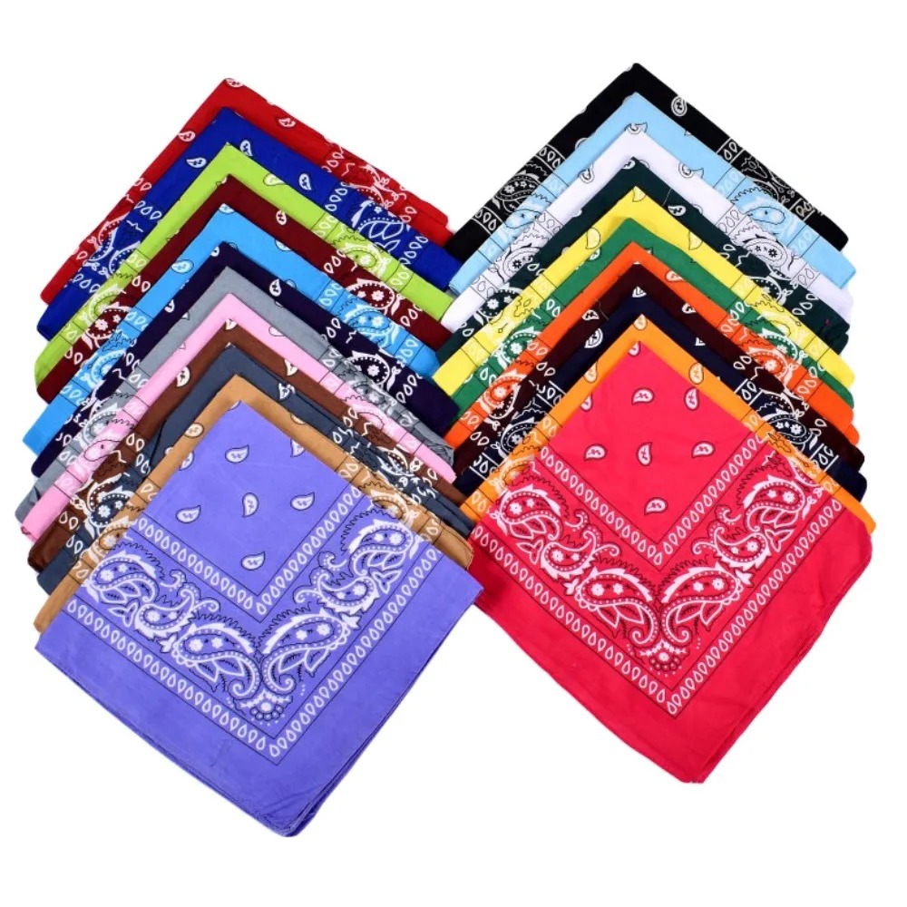 Hip Hop Cowboy Paisley Scarf L - مراجعة Ascot Neck Scarf وسعره